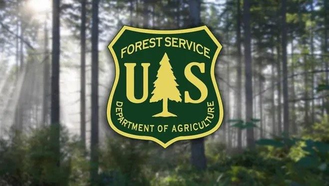 US-Forest-Service-stock-photo-659x373